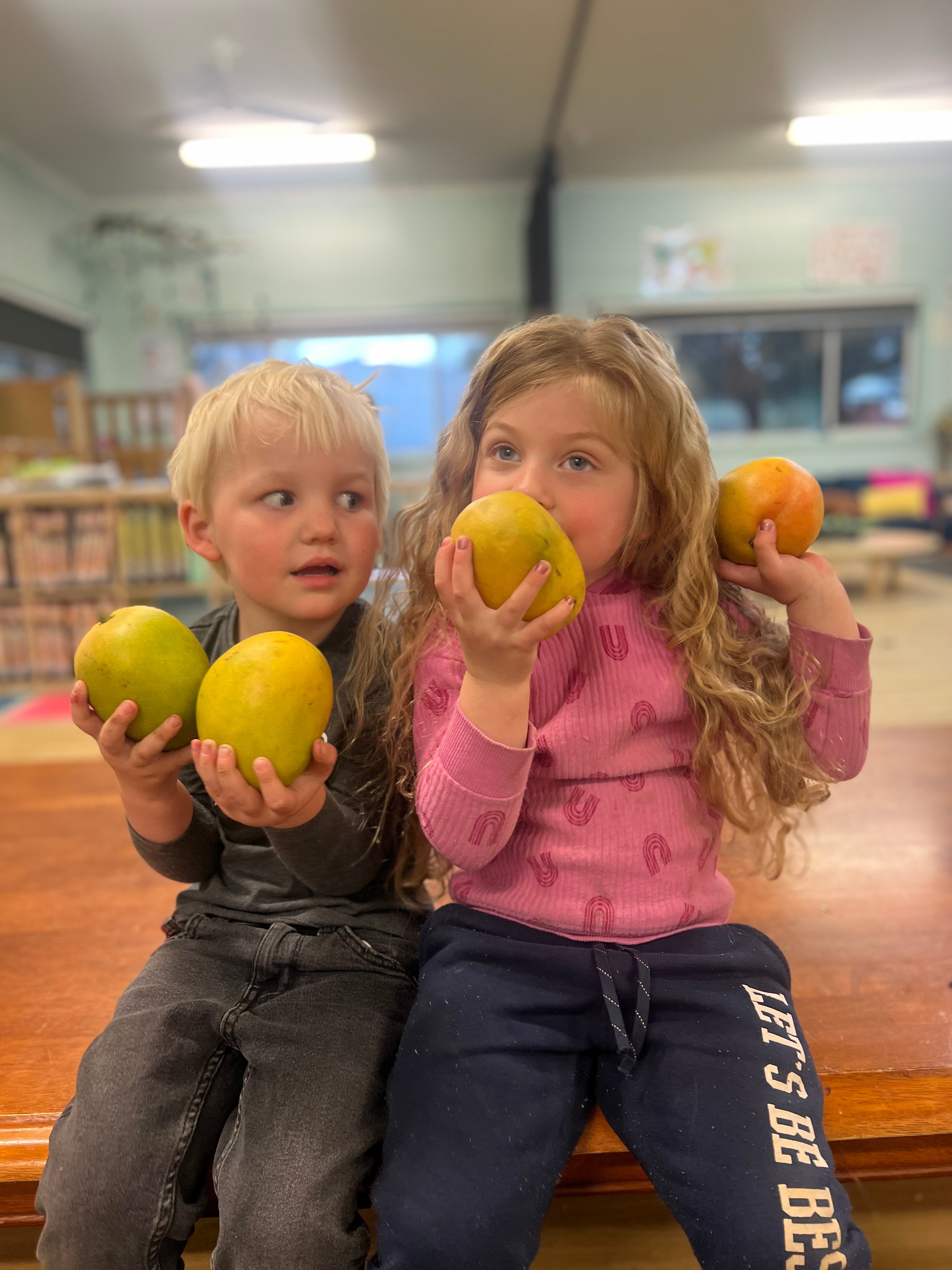 a young boy and girl from kindergarden holding and sniffing mangoes in their classroom