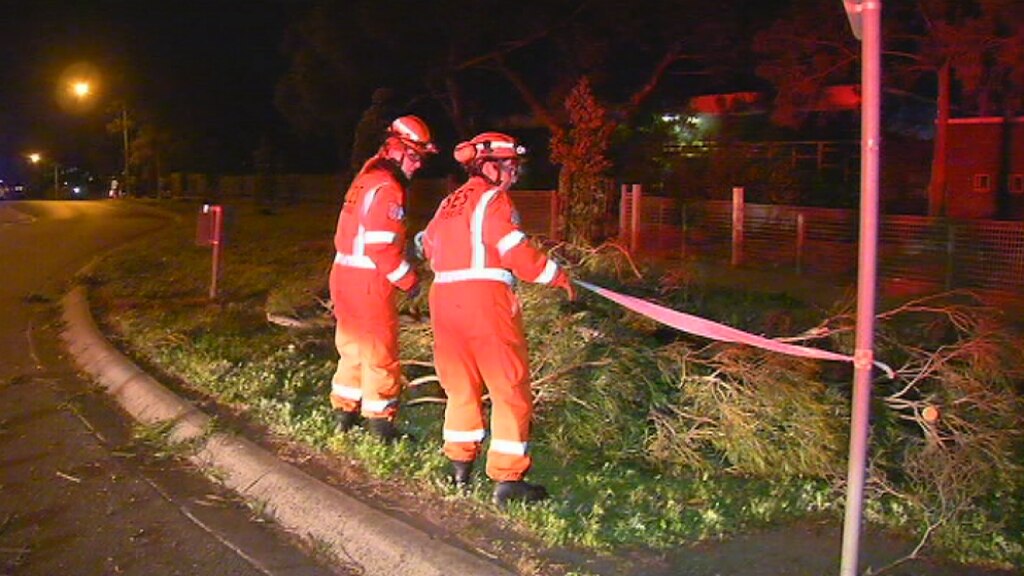Victoria hit by damaging winds, with gusts over 100kph; homes without ...