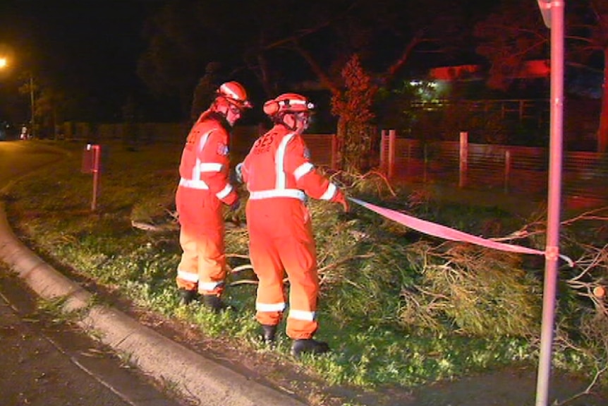 Tree down after strong winds at Narre Warren