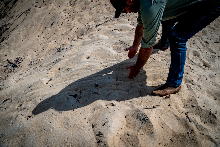 A ranger pointing out a crocodile track in the sand
