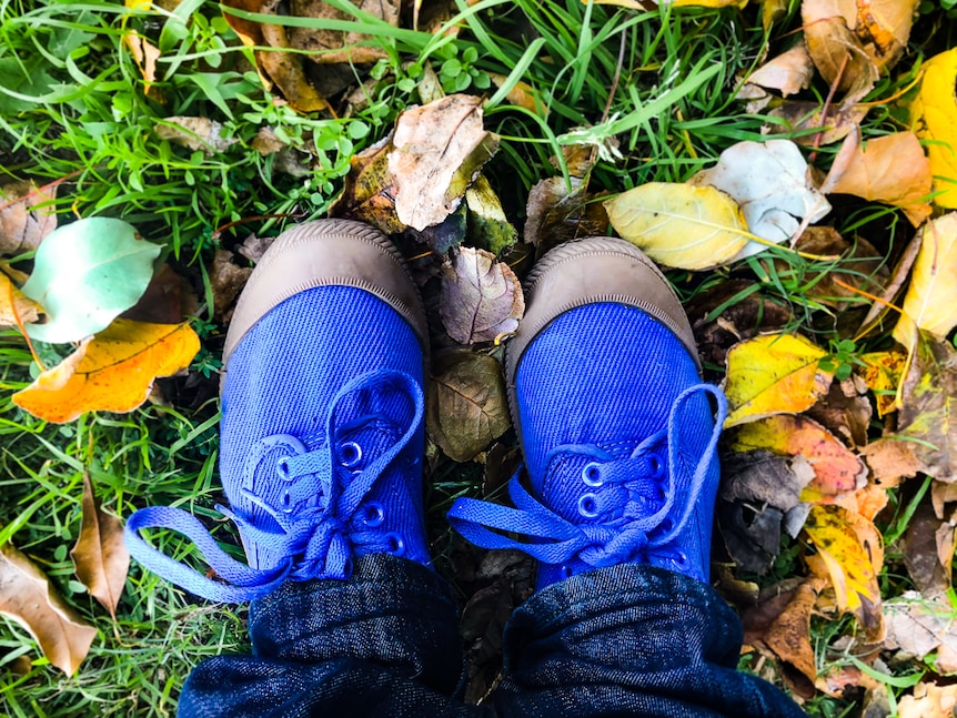Blue walking shoes on green grass and yellow leaves.