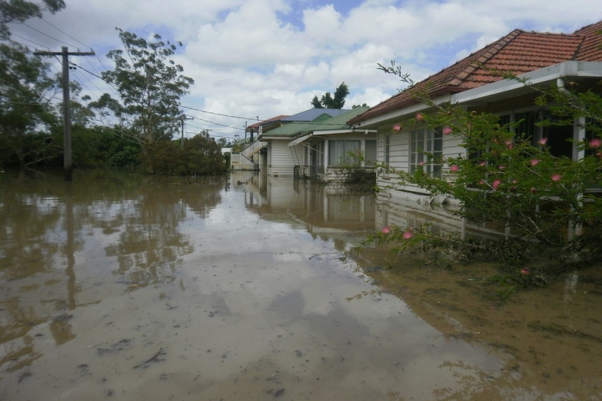 Flooded front yards in Fairfield