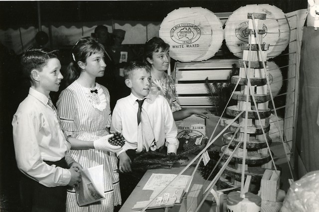 Schoolchildren look at exhibition at Mount Gambier show in 1963