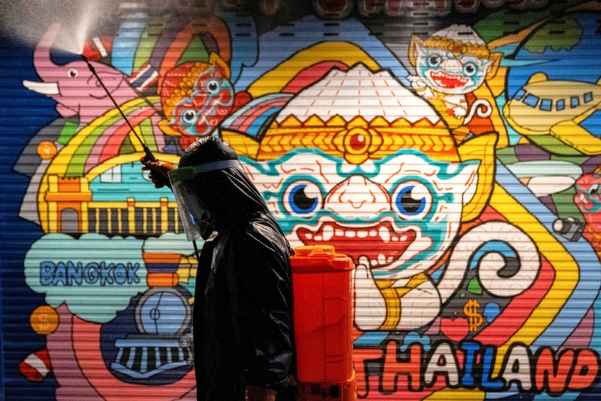 A man in PPE sprays a liquid on a Thai mural