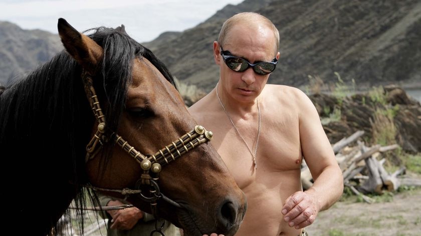 Russian Prime Minister Vladimir Putin feeds a horse