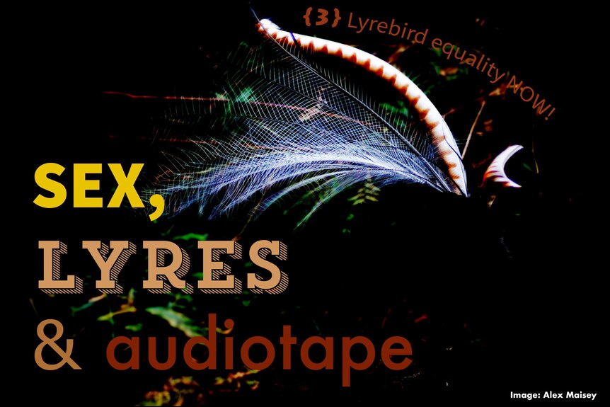 Off Track presents Sex Lyres and audiotape 3