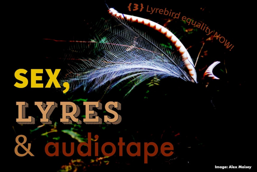 Off Track presents Sex Lyres and audiotape 3