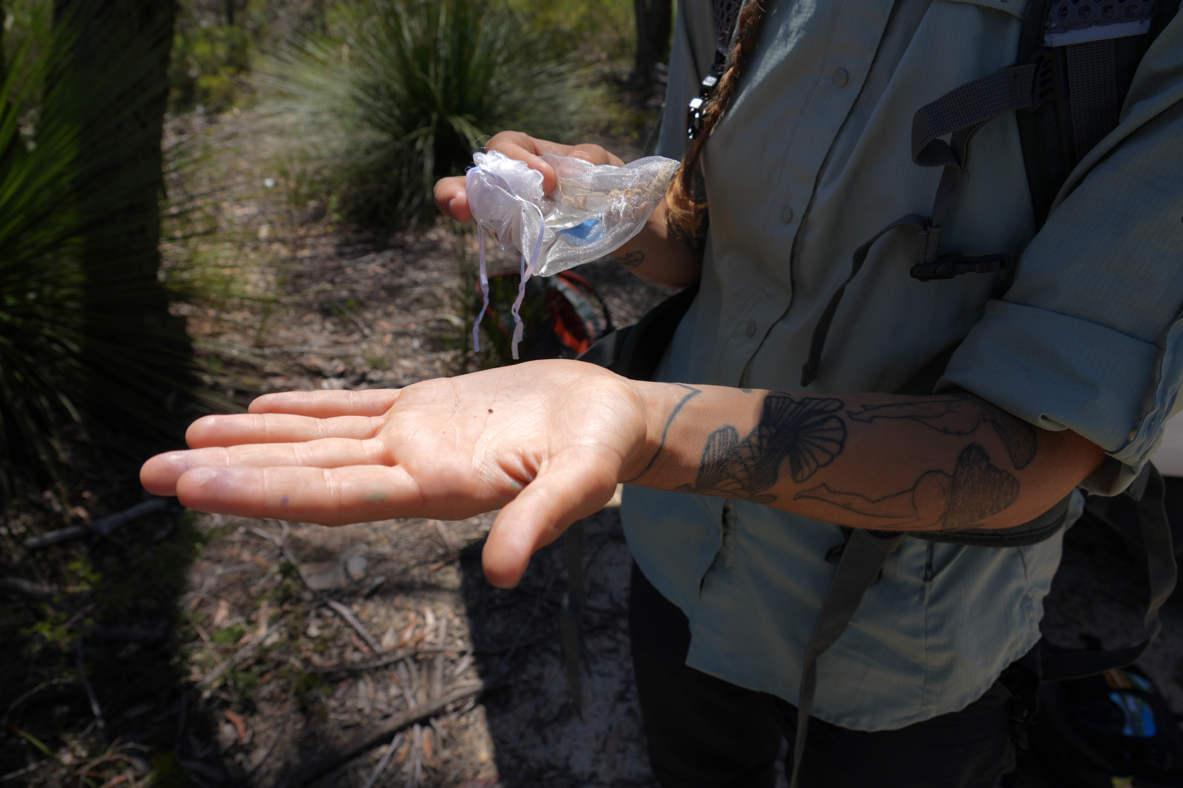 A woman holding out her hand for the camera. You can see a small black dot in the centre of her palm.