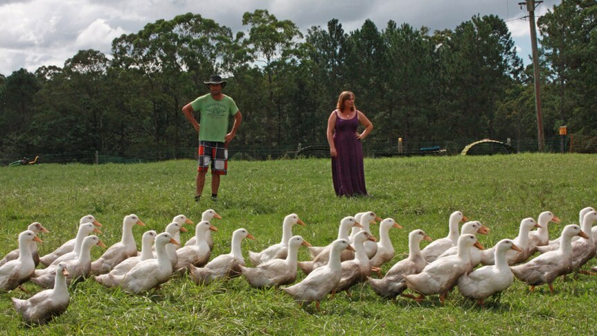 The Burrawong poultry farmers