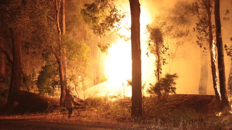 Northcliffe bushfire rages on