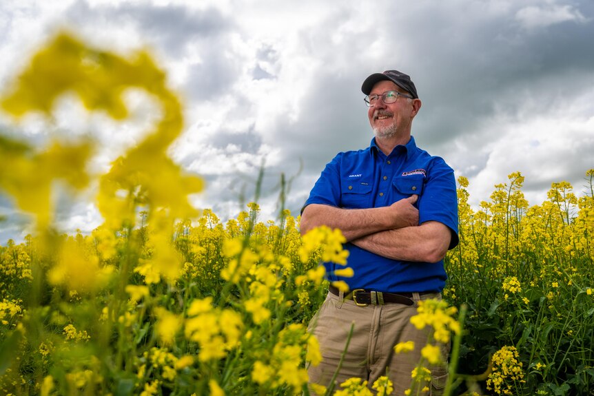 A man wearing a baseball cap and blue shirt standing with his arms crossed among canola flowers