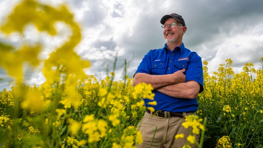 A man wearing a baseball cap and blue shirt standing with his arms crossed among canola flowers