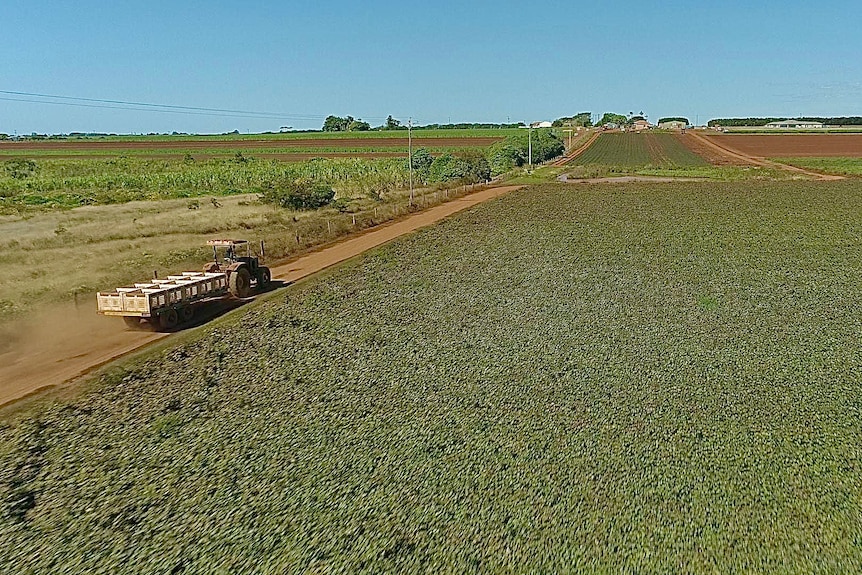 Russell Mortimer’s property in Bundaberg