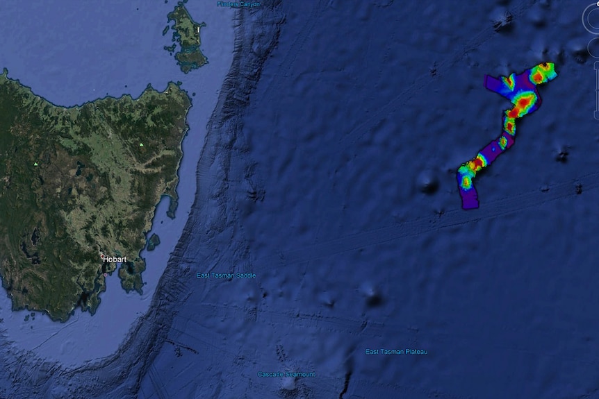 Google map image of seamount location