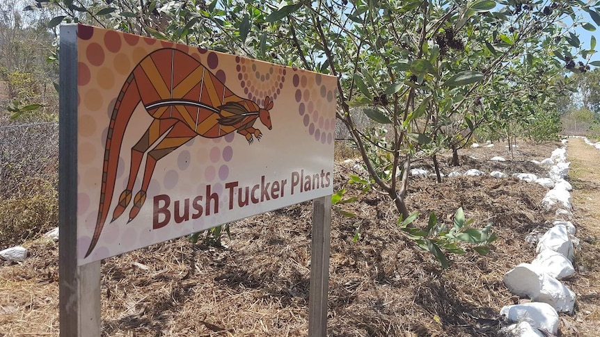 Townsville Prison Farm Bush Tucker Plantation