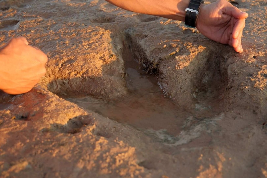 Hands beside a dinosaur footprint.