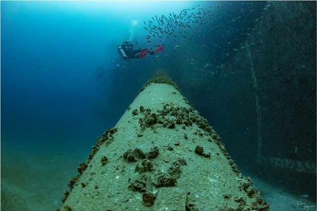 An underwater shot of a part of a shipwreck with marine growth and a diver in the distance near a school of fish.