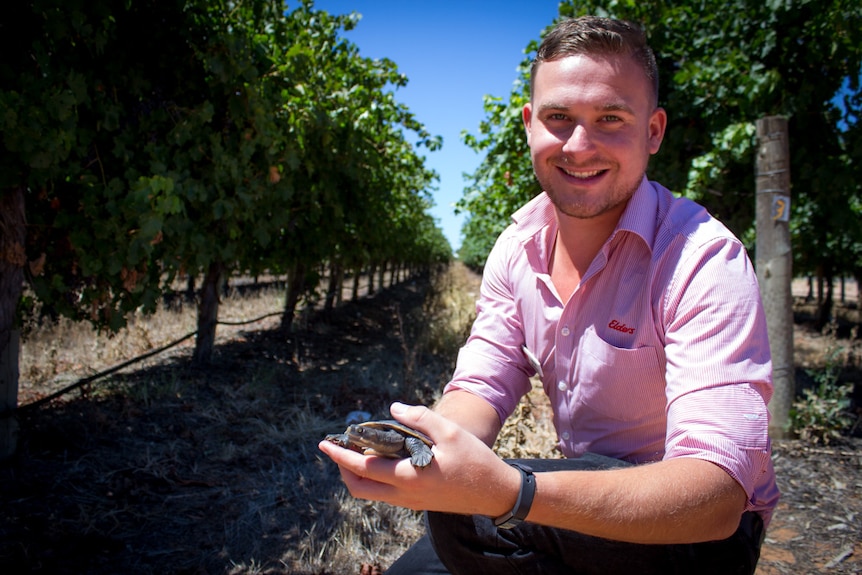 Jesse Watson with his pet turtle Skipper among grape vines.