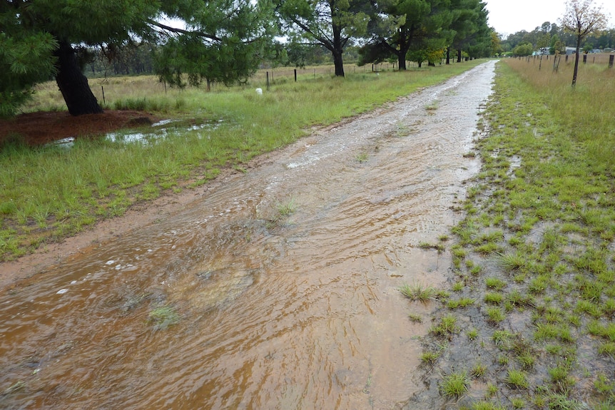 A long driveway covered in water, like a creek