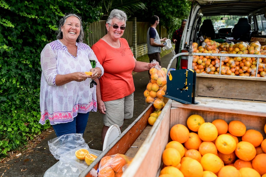 Two women standing next to a truck full of oranges