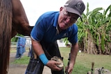 Farrier Dan Morgan holds a hoof and a file in each of his hands, he also holds nails in his mouth