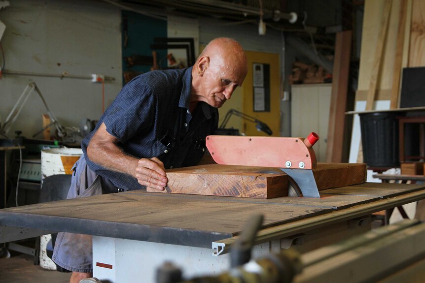 An elderly gentleman pushes a large piece of wood into a circular saw.