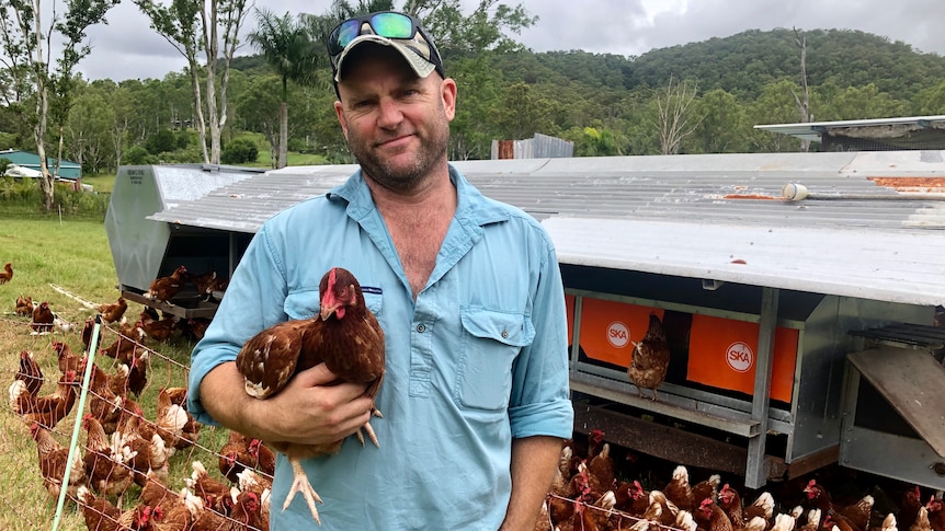 A farmer stands with a chicken in his arms in front of a tractor and lots of hens.