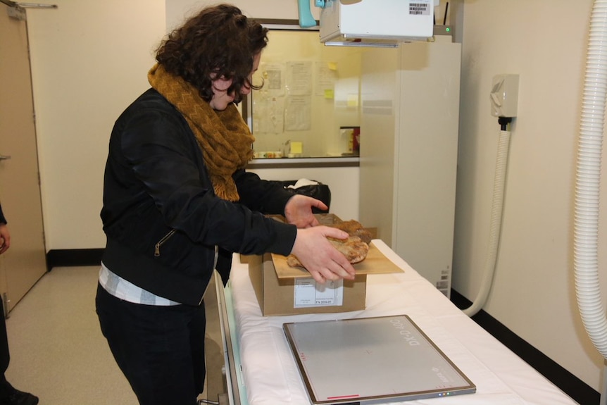 Sylvana Szydzik places Port Arthur artefacts on the x-ray plate