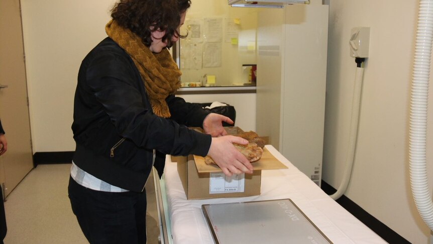 Sylvana Szydzik places Port Arthur artefacts on the x-ray plate