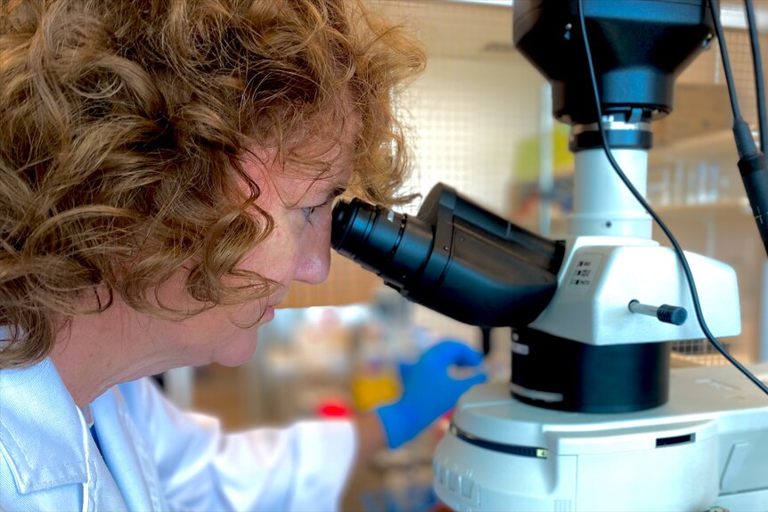 A woman with curly red hair looking into a microscope.