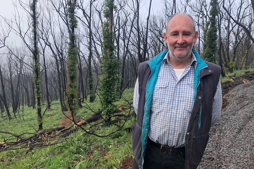 A man stands in front of blackened trees with some green shoots