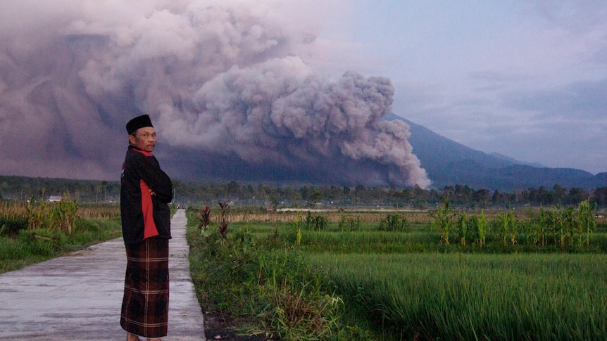 A person stands next to a field with smokes from an erupting volcano in the background.