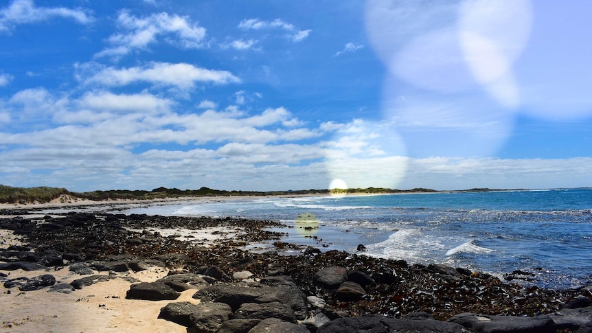 Belfast Coastal Reserve