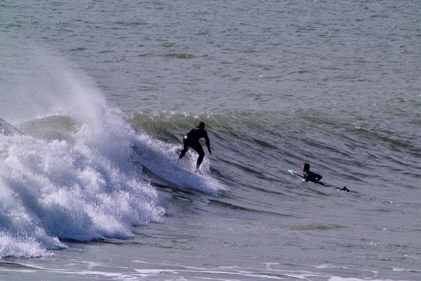 A surfer wearing a wetsuit rides a wave.