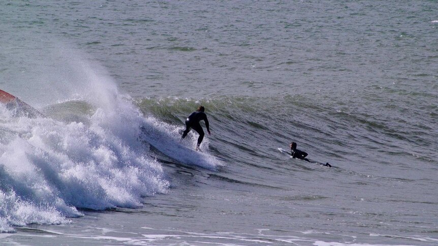 A surfer wearing a wetsuit rides a wave.