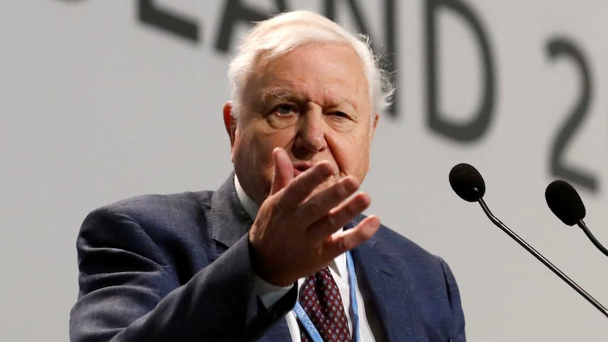 Sir David Attenborough gestures onstage during an address for the COP24 UN climate talks