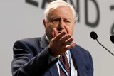 Sir David Attenborough gestures onstage during an address for the COP24 UN climate talks