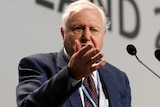 Sir David Attenborough gestures onstage during an address for the COP24 UN climate talks