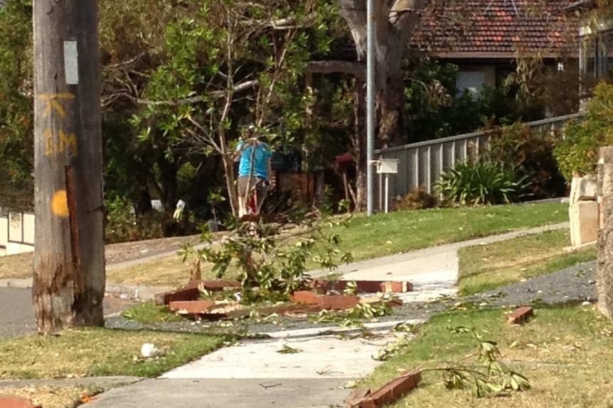 Police allege a man driving a water tanker mounted the kerb and hit a tree on Jubilee Road, Elermore Vale.
