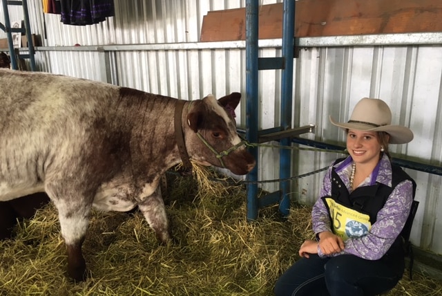 A teenage girl wearing a cowboy hat in a stall with a brown and white cow.