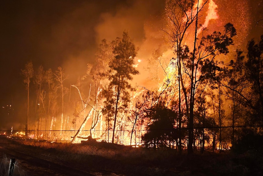 Bushfire burning at night
