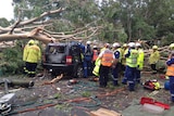 Emergency crews gather around a car crushed by a tree during storms in Sydney.