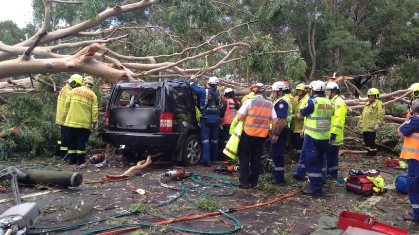 Emergency crews gather around a car crushed by a tree during storms in Sydney.