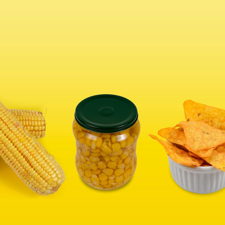 three types of corn, fresh, in a jar and corn chips