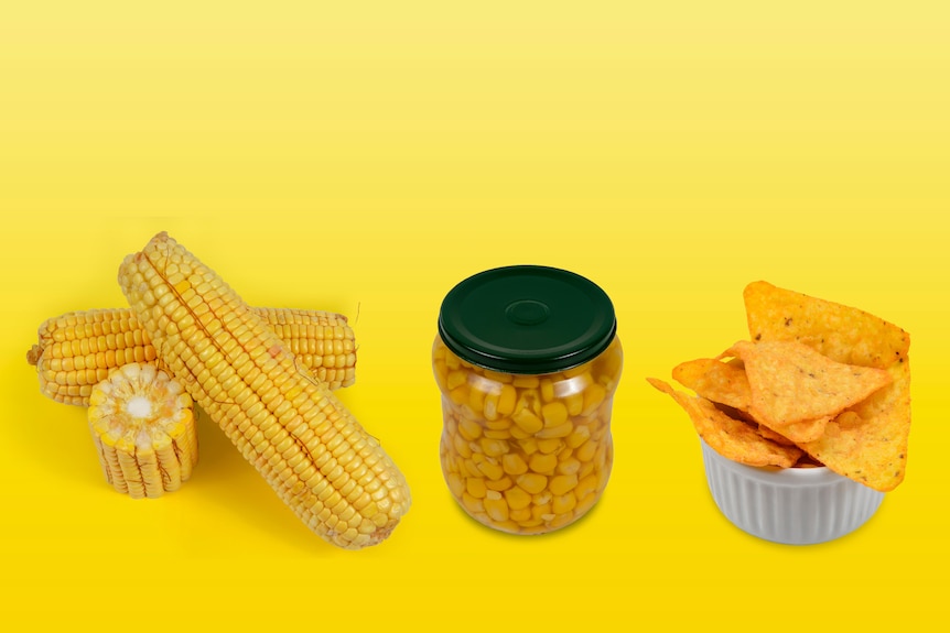 tres tipos de maíz, fresco, en frasco y chips de maíz