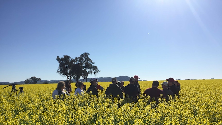 Agriculture students