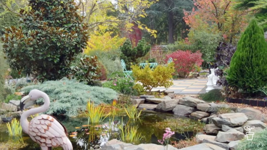 Garden filled with trees and plants with green, red and orange leaves