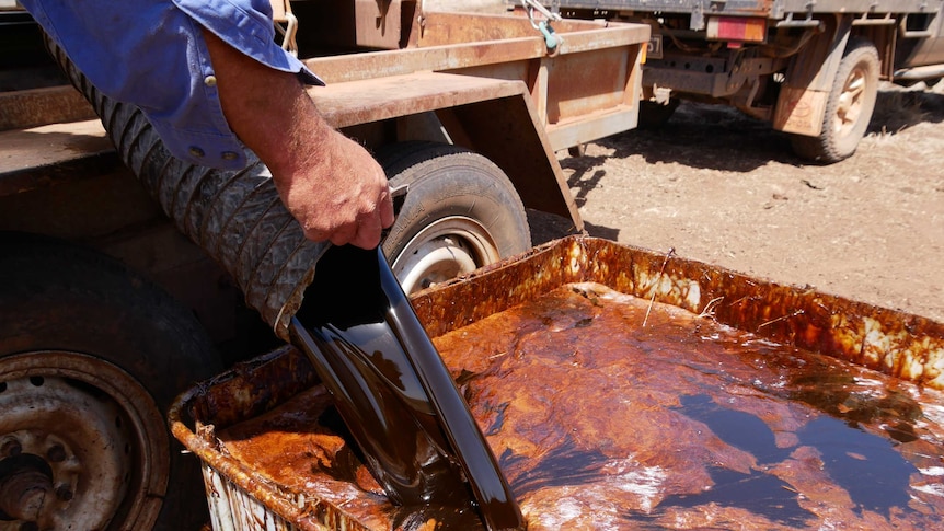 Grazier pours black shiny molasses into a tub almost full of molasses