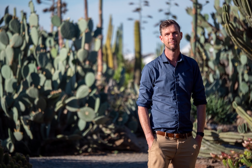 A man stands in a cactus garden
