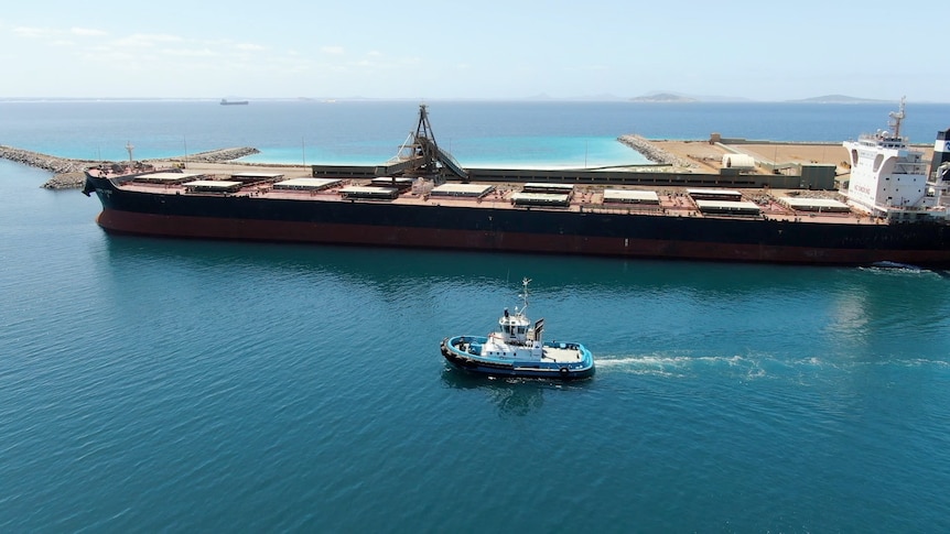 A tugboat motors past a massive cargo ship.